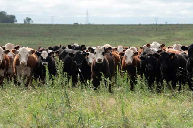 تقرير أممي يحذر من ارتفاع انبعاثات الميثان العالمية