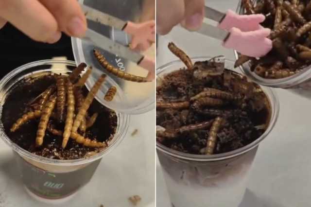 قهوة الصراصير تثير جدلا واسعا بين رواد المقاهي في بكين