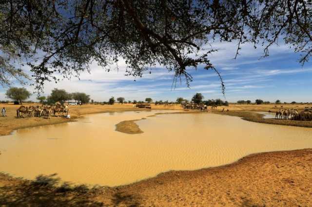 مدينة الأبيض.. عروس الرمال في شمال كردفان