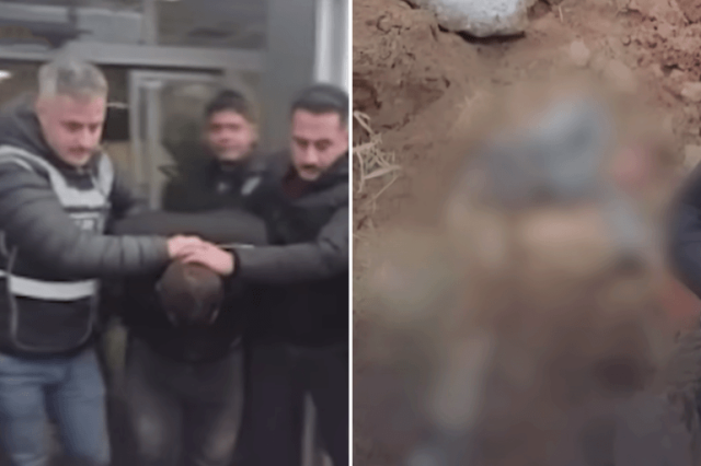 إنقاذ طفل سوري مدفون تحت الصخور في تركيا