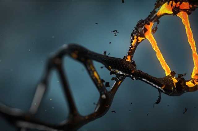 روبرت بيكويل.. مزارع إنجليزي غير متخصص أسس علما وراثيا