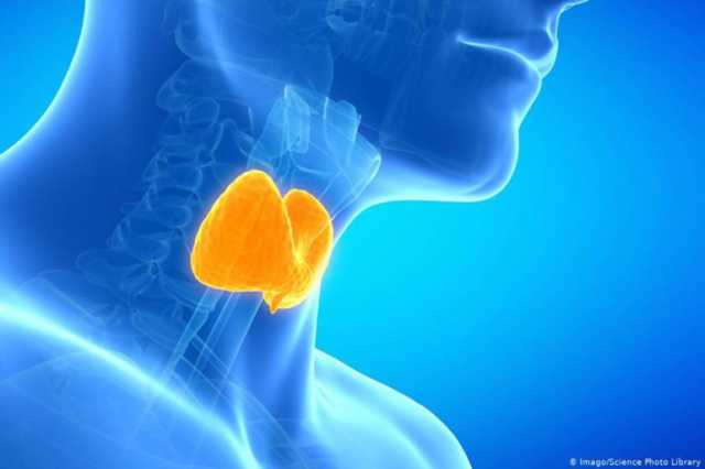 ‫نقص اليود.. أعراضه ومخاطره