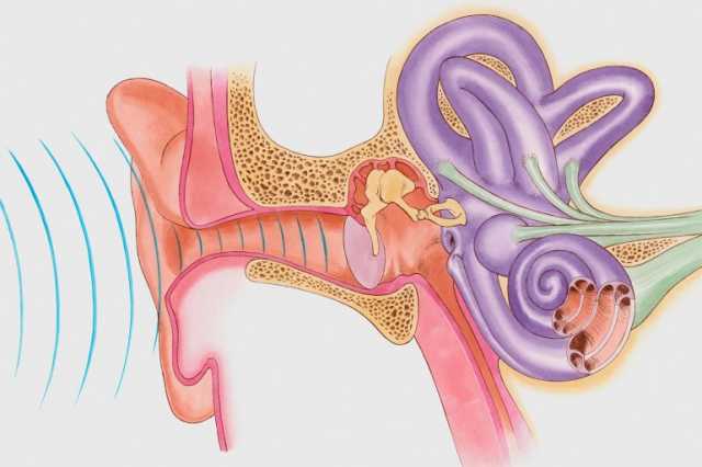 ‫التهاب الأذن الوسطى الحاد لدى الأطفال.. الأعراض والعلاج