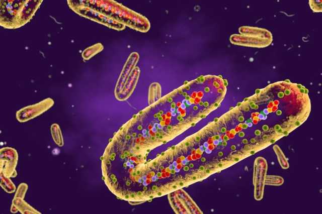 فيروس ماربورغ يظهر لأول مرة في إثيوبيا وسط جهود مكثفة لاحتوائه