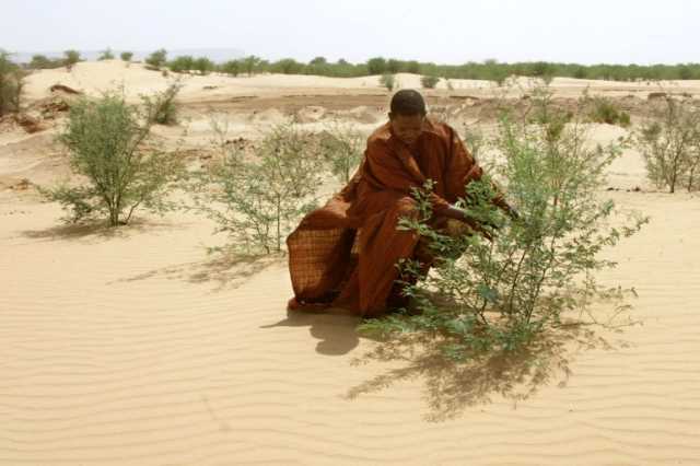 التصحر أزمة عالمية مستمرة يفاقمها الجفاف وتغير المناخ