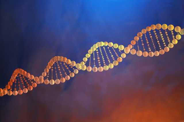 لوفيغارو تفتح ملف فرنسيين يختبرون الحمض النووي لمعرفة سبب الموت وتجنبه