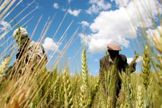 6 دول في الجنوب الأفريقي تخرج من قائمة بؤر الجوع العالمية