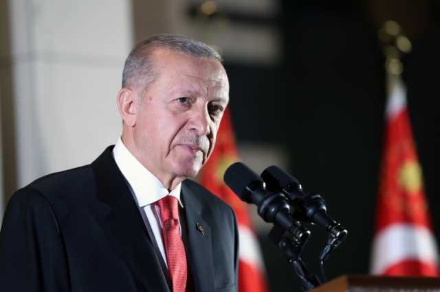 بوتين يراعي الأشقاء الأفارقة.. أردوغان يربط تصدير الحبوب بوفاء الدول الغربية بتعهداتها