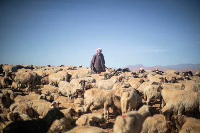 عيد بلا أضحية في المغرب.. ما علاقة ذلك بالجفاف وتغير المناخ؟