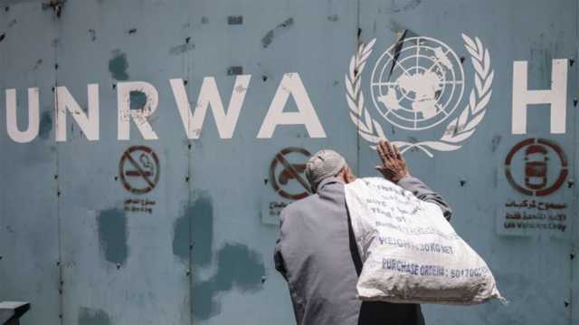 فلسطين.. الأونروا تعلن فقدان 4 من موظفيها بالغارات الجوية وتشرح حالة غزة