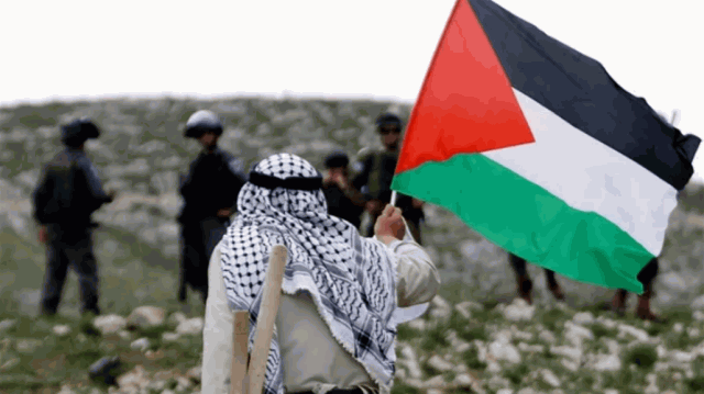 تركيا: حان الوقت لاتخاذ المجتمع الدولي خطوات لقيام دولة فلسطينية