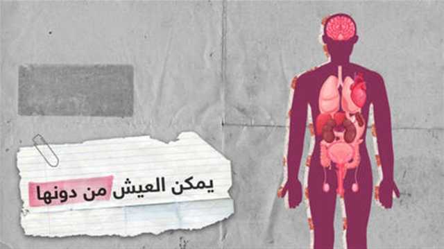 تعرف على الأعضاء التي يمكن للإنسان أن يعيش من دونها