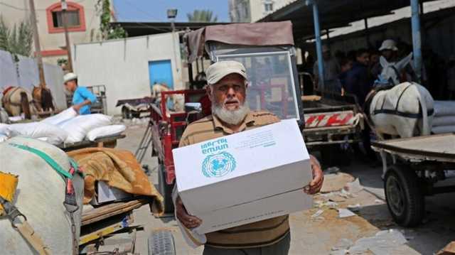 لإطعام مليون مستفيد.. منحة إماراتية جديدة لغزة بـ 11.7 مليون دولار