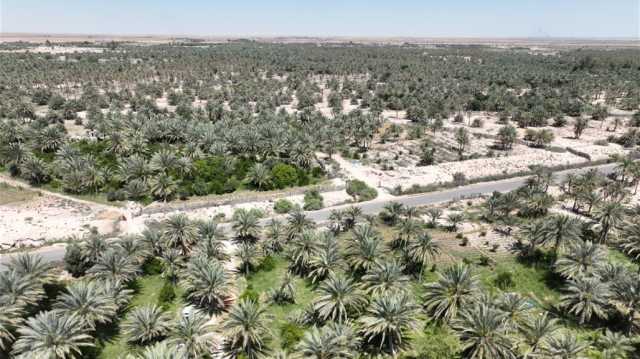 الموارد المائية تعلن استخدام تقنيات الري الحديثة لإرواء 900 دونم في كربلاء
