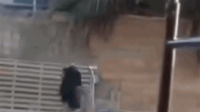 انتقادات لاذعة.. شاب يعتدي على رجل كبير بالسن بائع مناديل (فيديو)