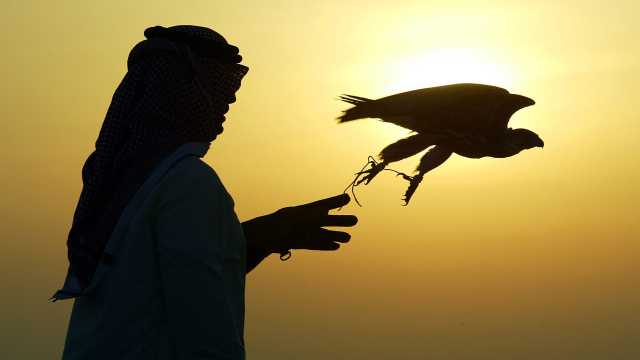 رحلة البحث عن الحُر.. ضرب في البوادي للظفر بالثراء: ما قصّة الـ 100 ألف دولار للطائر؟