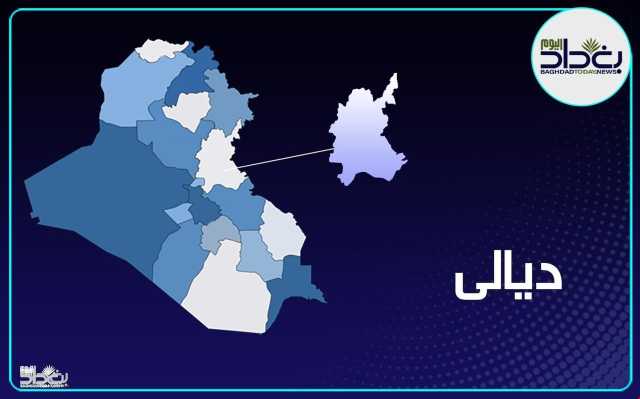 قطع 50 كم وسقط.. فريق خاص ينجح باعتقال متهم بعد ساعة من هروبه