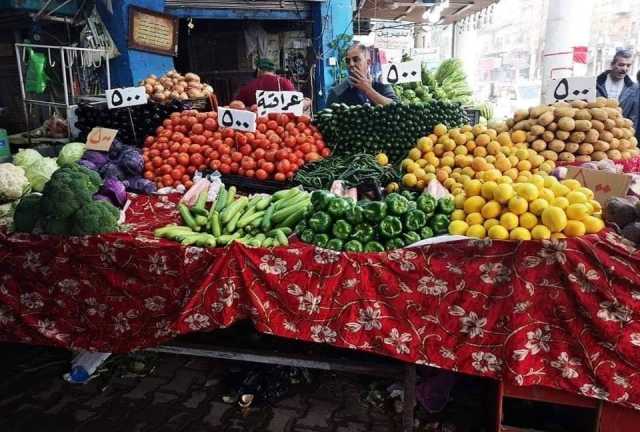 لدعم المنتج المحلي.. نائب يدعو لحظر استيراد خمسة أصناف من المحاصيل الزراعية