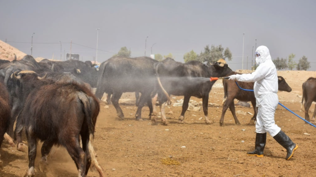 ميسان محتارة بوفاة مفاجئة لشاب.. شكوك بمرض خطير وانتظار النتائج من بغداد