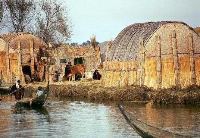 بعد سنوات من عدم وضعها بحسبان الحصص.. الأهوار ستحصل على المياه بـقوة القانون