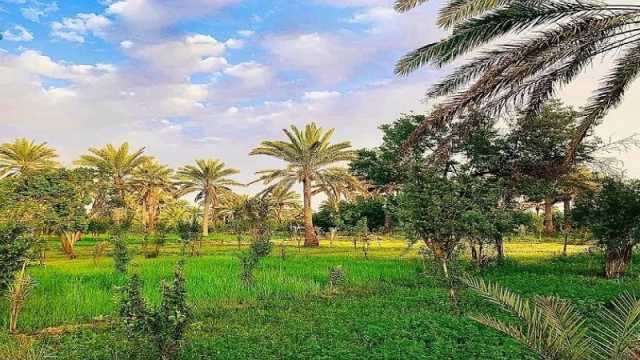 الأجواء الدافئة تكسر الموجة الباردة مع إشراقة الثلاثاء.. فرص الأمطار موجودة أيضًا - عاجل