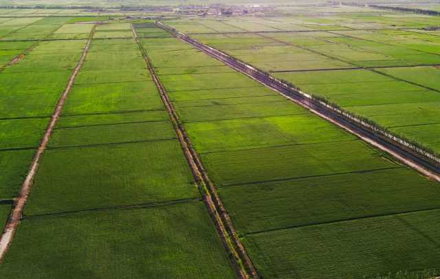 وزير الزراعة يعلن رفع يد الإصلاح الزراعي عن 80 ألف دونم