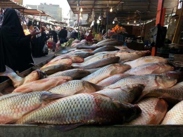 وزير الزراعة يعلن عودة أسعار الأسماك لوضعها الطبيعي