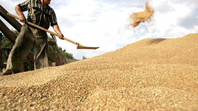 مجلس الوزراء يوافق على استلام الحنطة من الأراضي غير الداخلة في الخطّة الزراعية