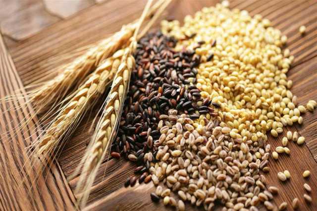 مبيعات الحبوب الروسية إلى الصين تتضاعف 3 مرات