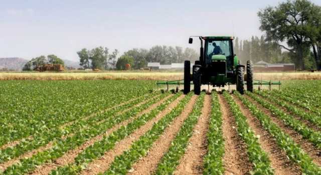 مؤشرات الاستثمار الزراعي ترتفع خلال السنوات الاخيرة