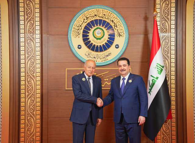 أبو الغيط يعلن إعداد استراتيجية عربية شاملة للأمن الغذائي