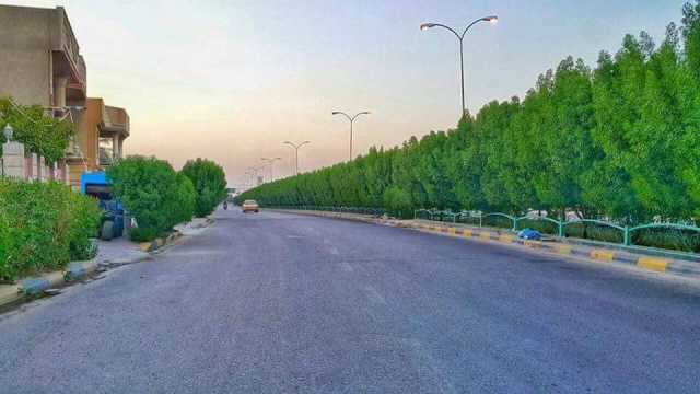 بطول 100 كم.. الزراعة: مشروع لتشجير الخط السريع الرابط بين 3 محافظات جنوبية