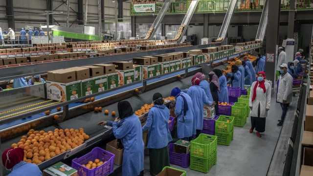الأردن يعلن وقف استقدام العمالة الأجنبية حتى إشعار آخر
