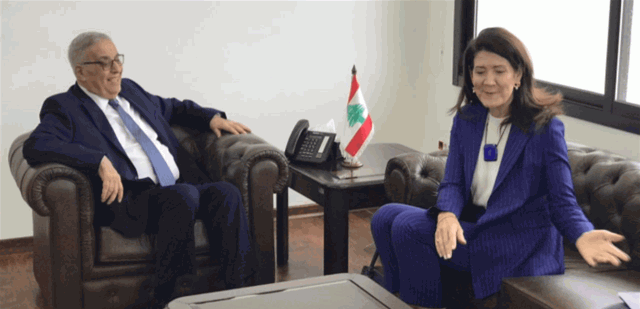 لقاءات واتصالات ديبلوماسية لوزير الخارجية بحثت في تطورات الاوضاع