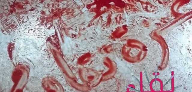 لقاء الثلاثاء: شعب فلسطين في غزة يذبح والعالم يتفرج