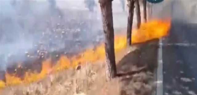حرائق كبيرة جراء القصف الإسرائيليّ... كيف تبدو الصورة في جنوب لبنان؟ (فيديو)