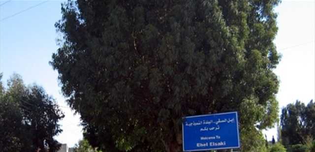 مسيّرة على شجرة.. هذا ما عثر عليه أهالي بلدة ابل السقي (صورة)
