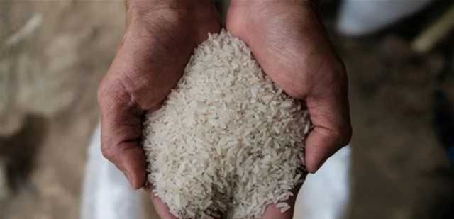 بعد الجدل حول الأرز المسرطن.. هذا ما أعلنه البحصلي