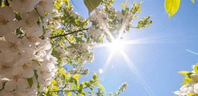 طقس ربيعي دافئ... الى متى سيستمر؟