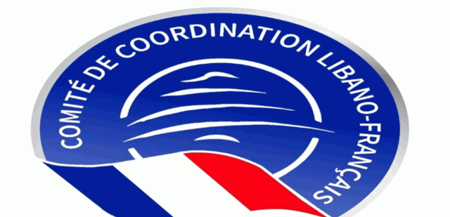 لجنة التنسيق اللبنانية - الفرنسية والجامعة اللبنانية الثقافية في فرنسا: لتطبيق القرارات الدولية