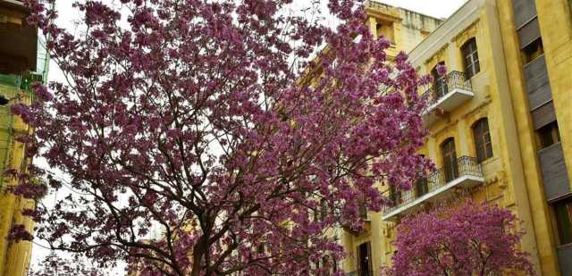 طقس ربيعي رطب يسيطر على لبنان... ماذا عن درجات الحرارة؟