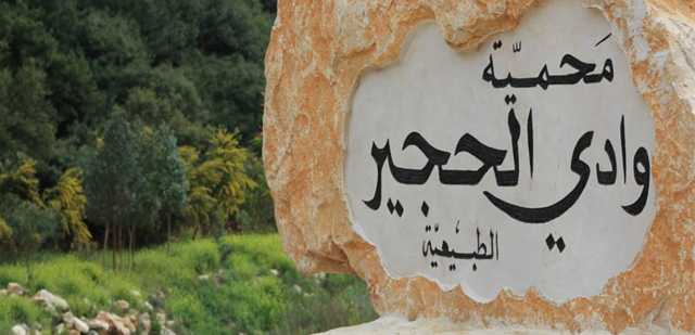 إستهداف سيارة في وادي الحجير - جنوب لبنان.. ما حقيقة هذا الخبر؟