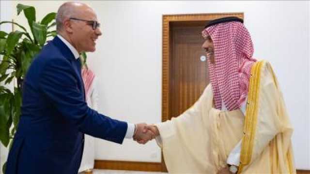 وزيرا خارجية السعودية وتونس يبحثان سبل تعزيز العلاقات وتطويرها