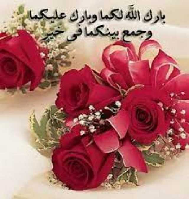 ط­ظˆظ„ ط§ظ„ظ…ظˆظ‚ط¹