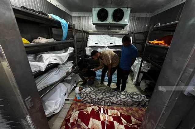 ط­ظˆظ„ ط§ظ„ظ…ظˆظ‚ط¹