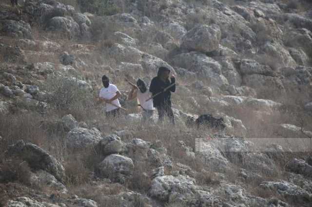 ط­ظˆظ„ ط§ظ„ظ…ظˆظ‚ط¹