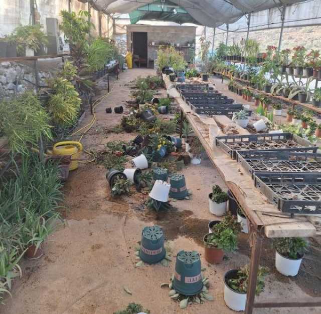 ط­ظˆظ„ ط§ظ„ظ…ظˆظ‚ط¹