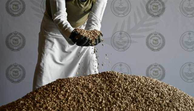 شاهد.. السعودية تحبط تهريب كمية ضخمة من المخدرات