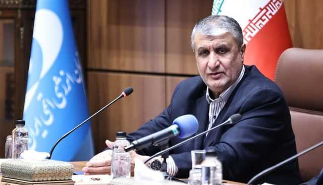 مسؤول إيراني: طهران لن تعرقل عمل الوكالة الدولية للطاقة الذرية