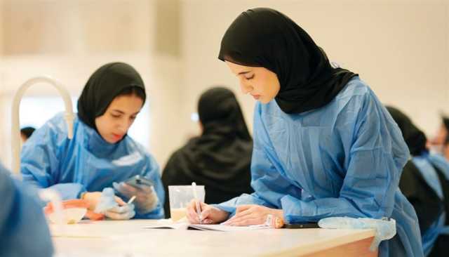 حصاد 2024.. تحديث هيكلة التعليم وجامعات جديدة ترفد القطاع